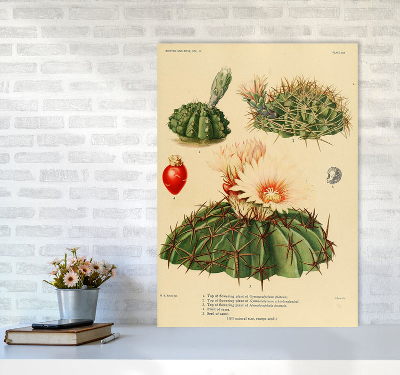 Cactus Series 14 Art Print by Jason Stanley A1 Black Frame