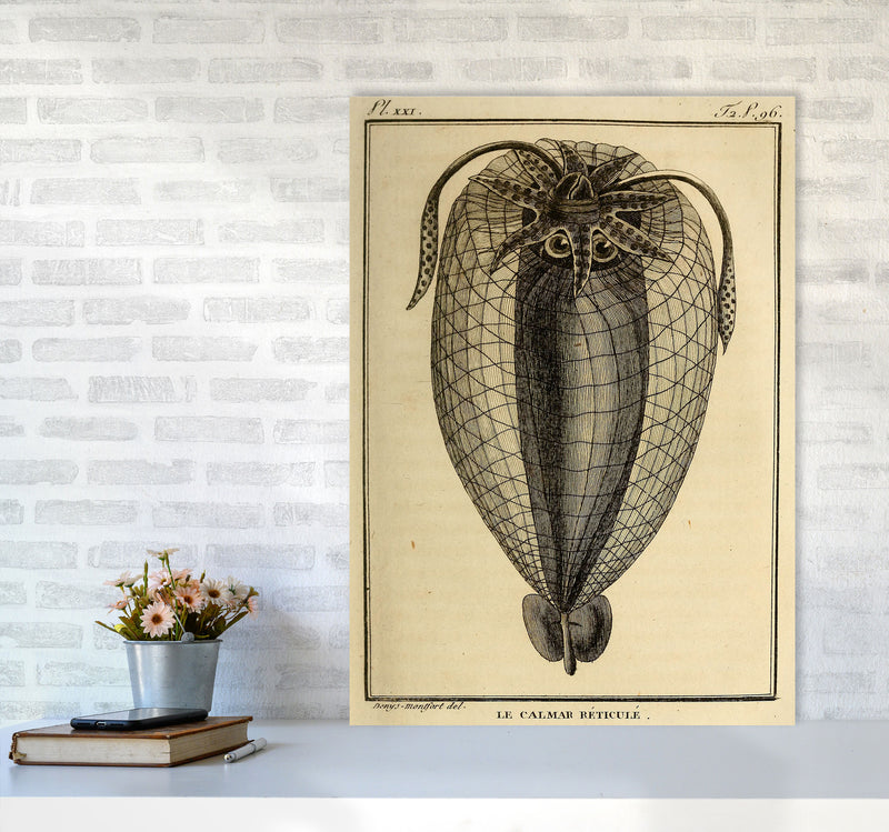 Vintage Squid 4 Art Print by Jason Stanley A1 Black Frame