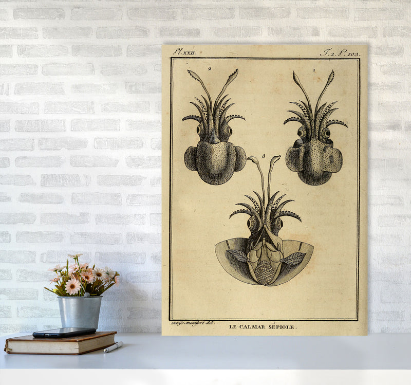 Vintage Squid 3 Art Print by Jason Stanley A1 Black Frame