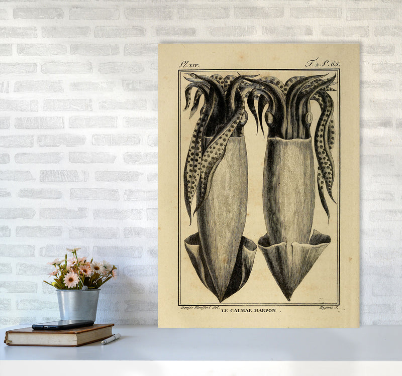 Vintage Squid 5 Art Print by Jason Stanley A1 Black Frame