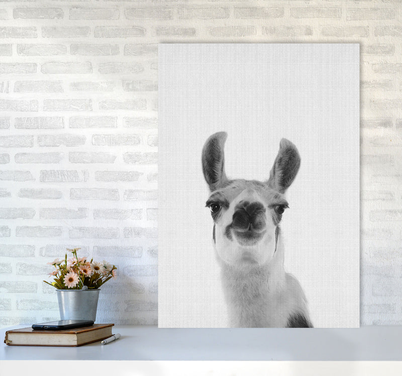 Llama Art Print by Jason Stanley A1 Black Frame
