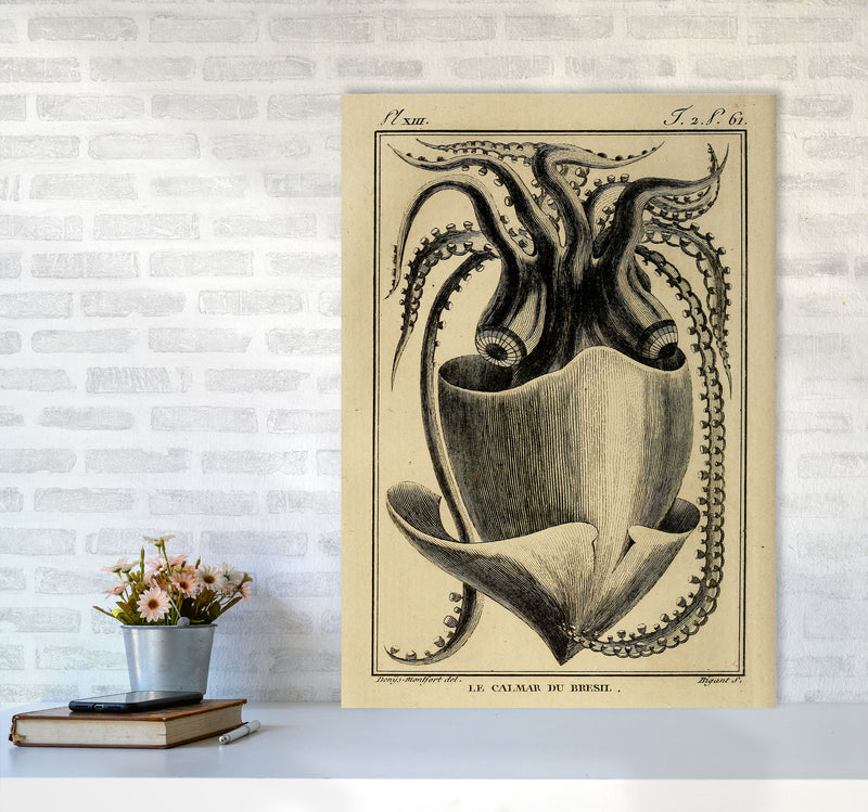 Vintage Squid Art Print by Jason Stanley A1 Black Frame
