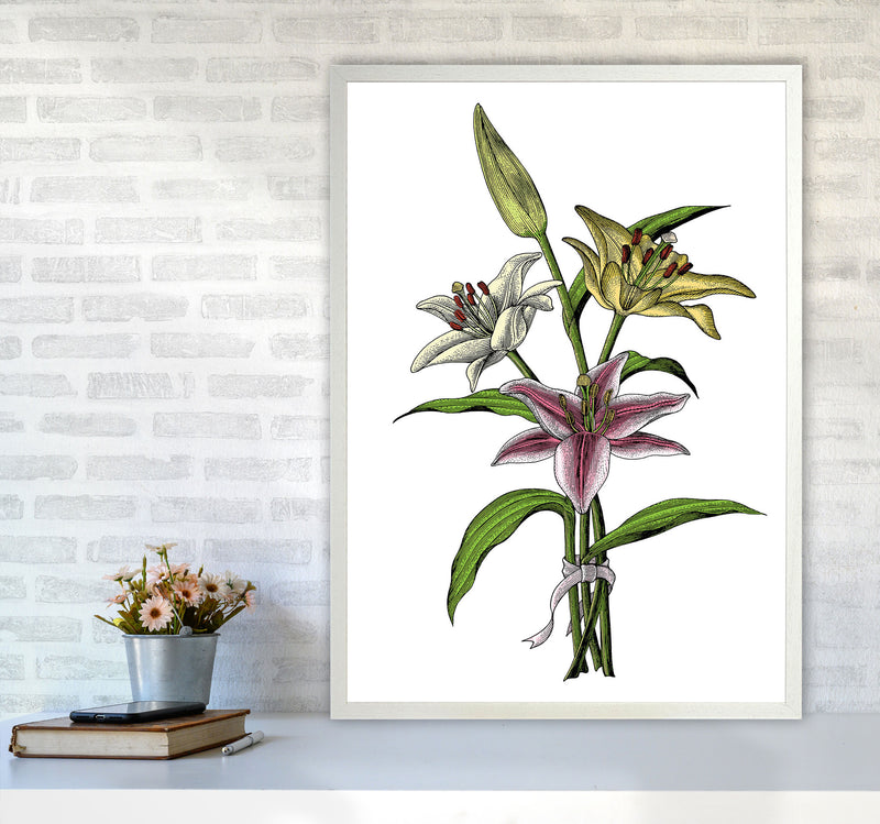 Vintage Lilly Illustration Art Print by Jason Stanley A1 Oak Frame