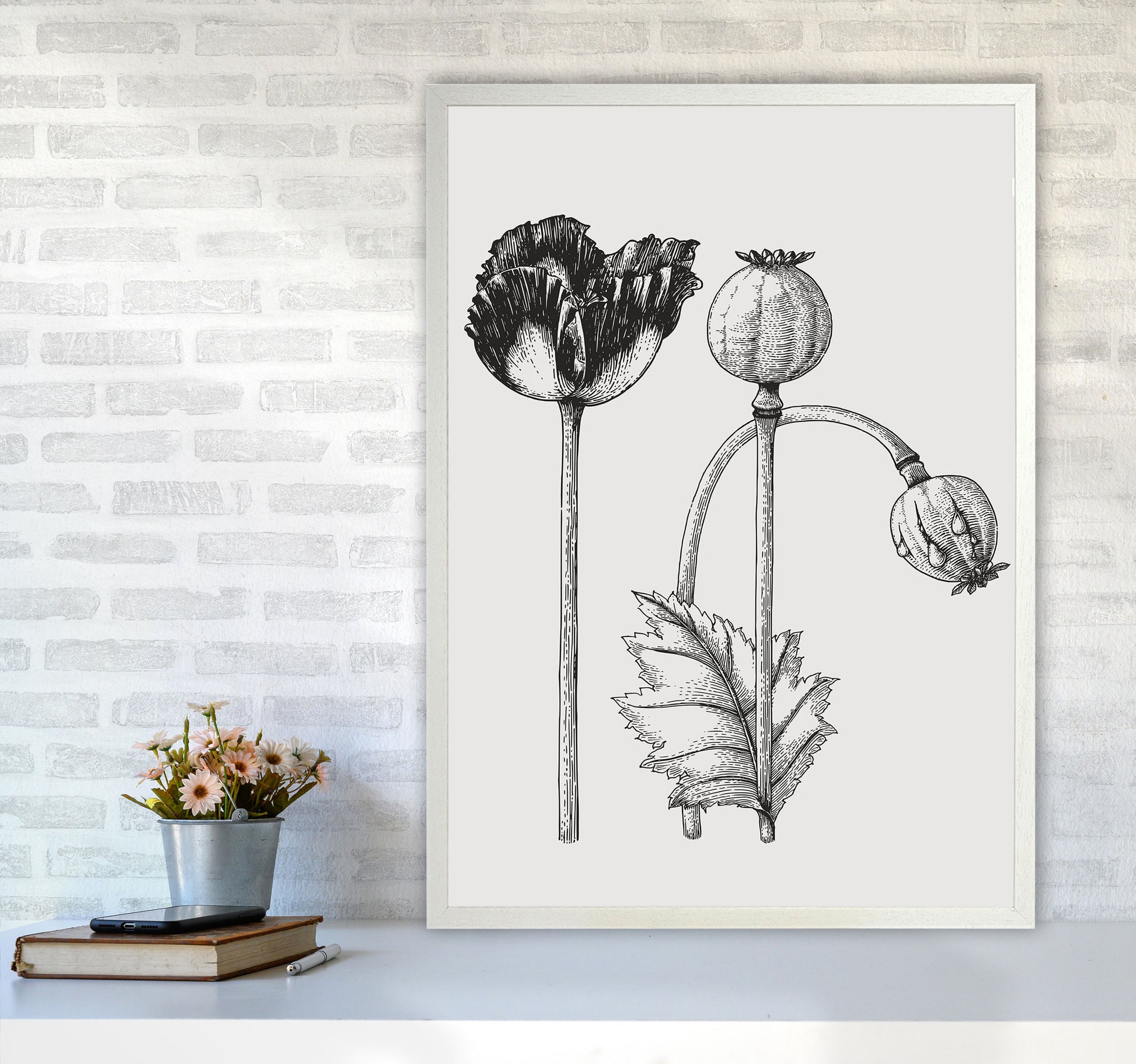 Vintage Poppy Plant Art Print by Jason Stanley A1 Oak Frame