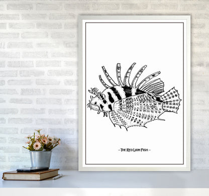 The Red Lion Fish Art Print by Jason Stanley A1 Oak Frame
