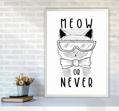 Meow Or Never Art Print by Jason Stanley A1 Oak Frame