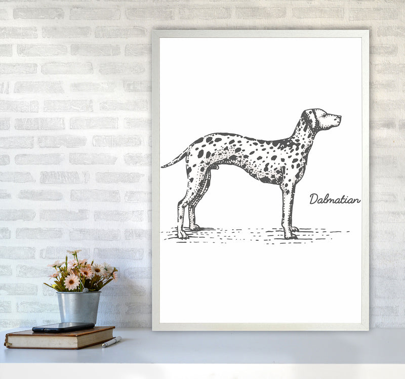 Dalmation Art Print by Jason Stanley A1 Oak Frame