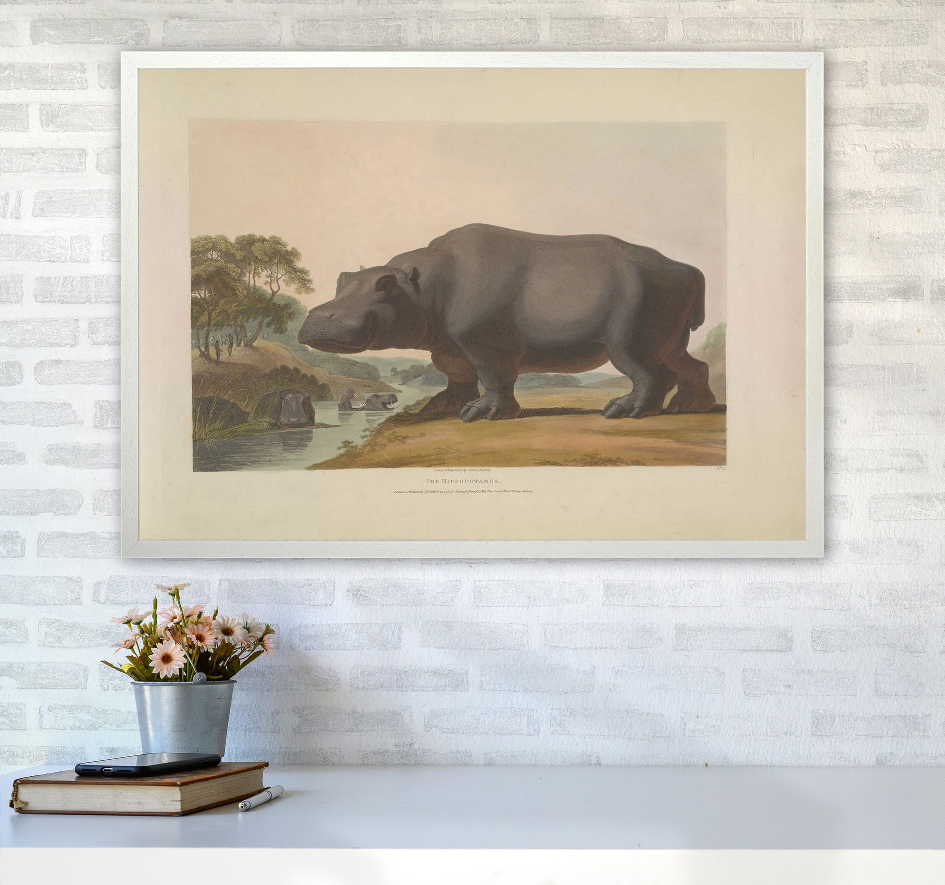 Vintage Hippo Illustration Art Print by Jason Stanley A1 Oak Frame