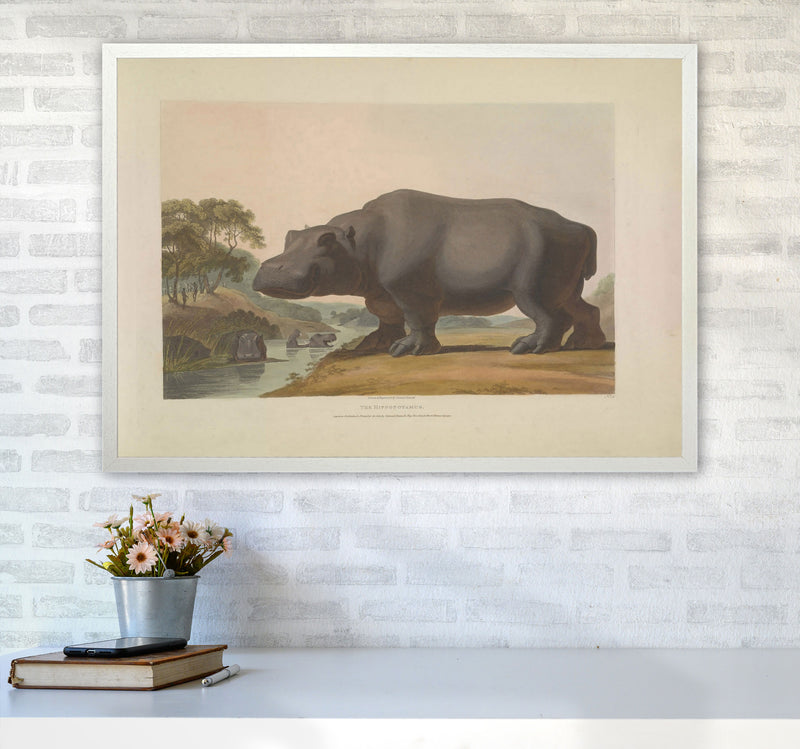 Vintage Hippo Illustration Art Print by Jason Stanley A1 Oak Frame
