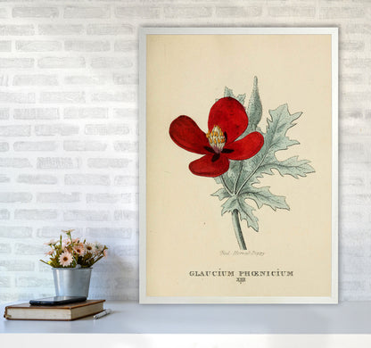 Vintage Flower Series 2 Art Print by Jason Stanley A1 Oak Frame