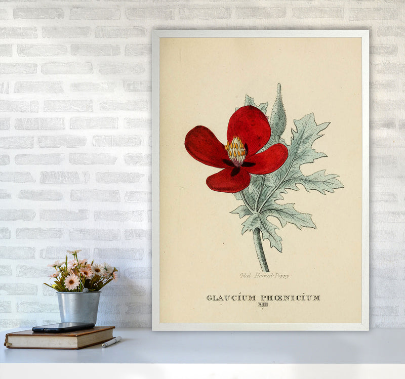 Vintage Flower Series 2 Art Print by Jason Stanley A1 Oak Frame
