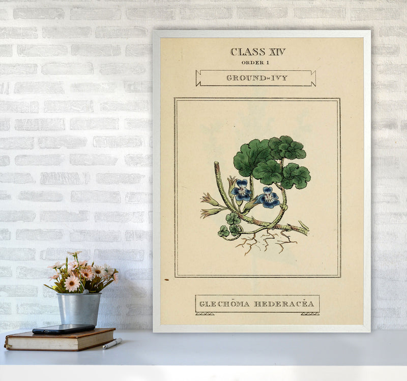 Vintage Flower Series 8 Art Print by Jason Stanley A1 Oak Frame