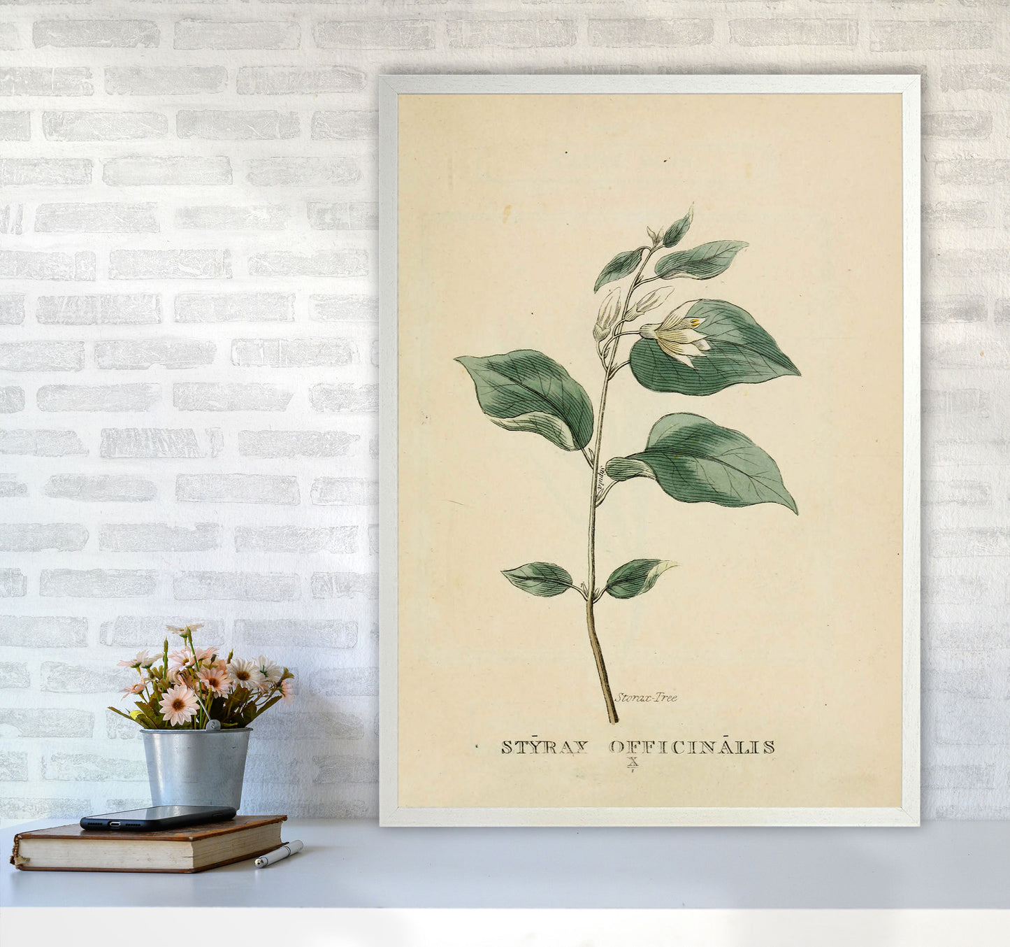 Vintage Flower Series 1 Art Print by Jason Stanley A1 Oak Frame
