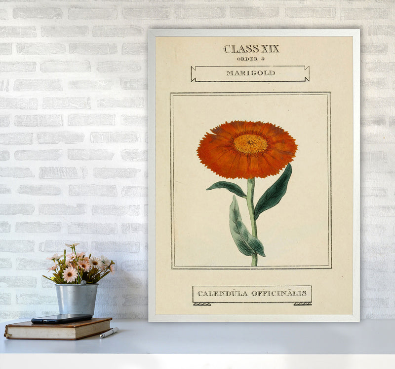 Vintage Flower Series 9 Art Print by Jason Stanley A1 Oak Frame