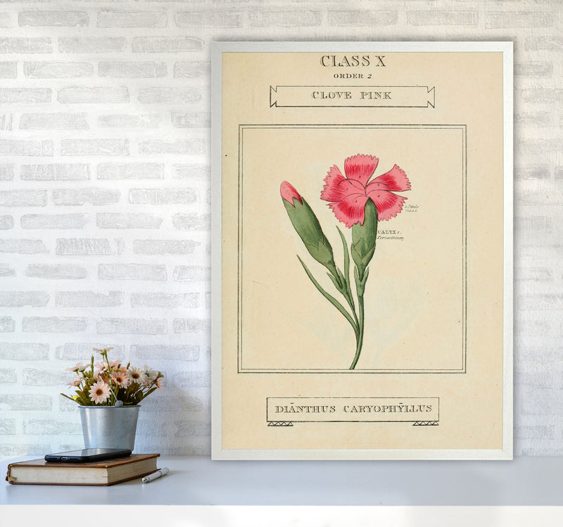 Vintage Flower Series 4 Art Print by Jason Stanley A1 Oak Frame