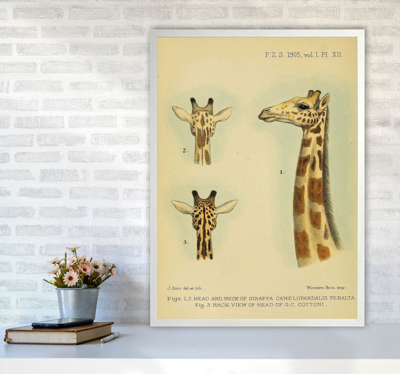 Longest Neck In The Jungle Art Print by Jason Stanley A1 Oak Frame