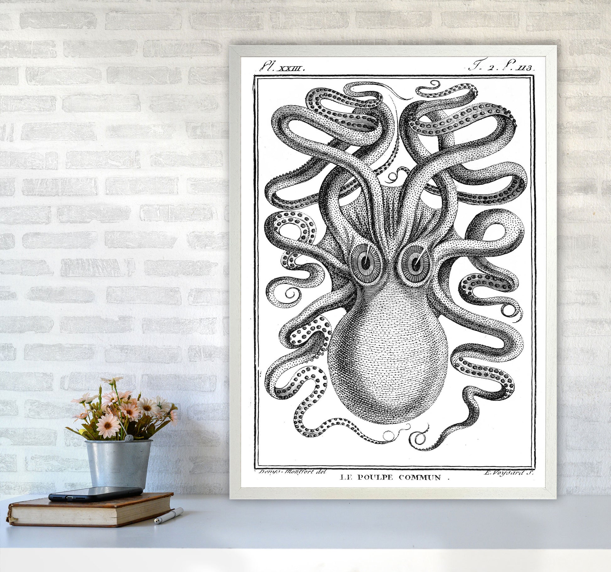 White Vintage Octopus Art Print by Jason Stanley A1 Oak Frame