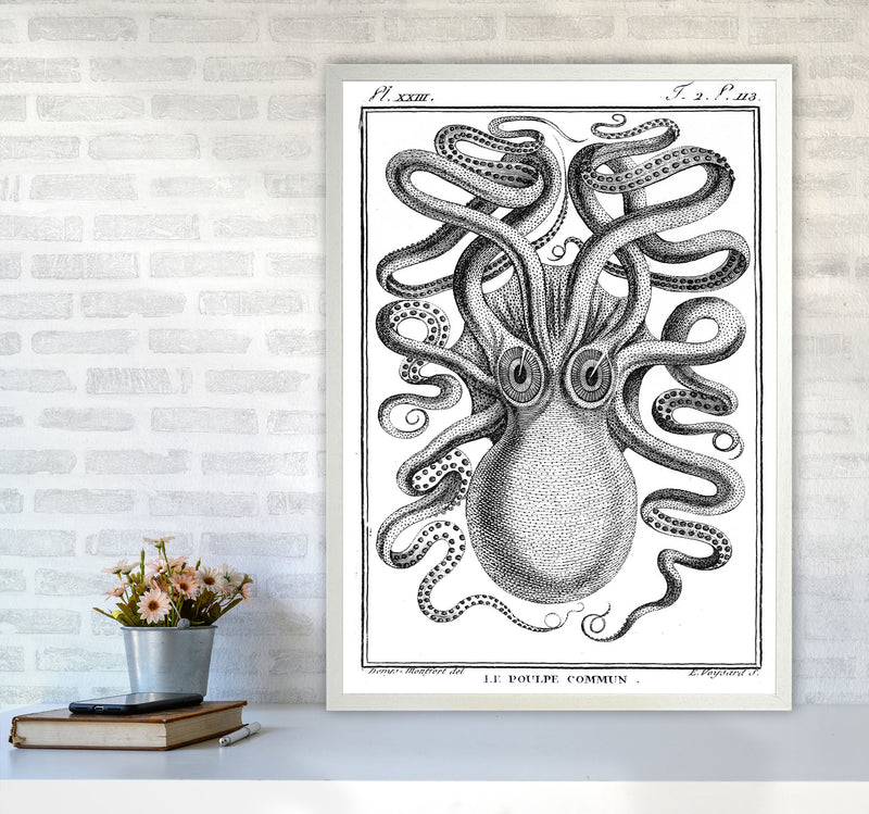 White Vintage Octopus Art Print by Jason Stanley A1 Oak Frame