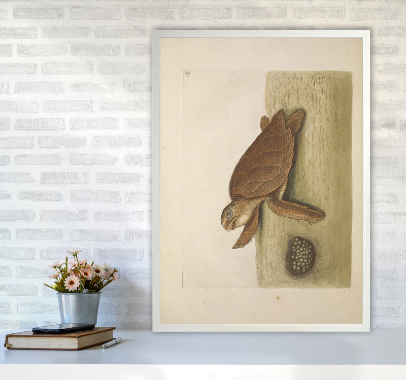 Vintage Sea Turtle Art Print by Jason Stanley A1 Oak Frame