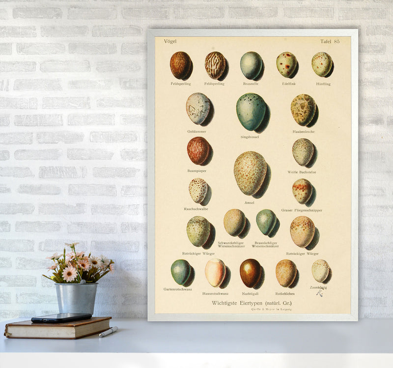 Vintage Set Of Eggs Art Print by Jason Stanley A1 Oak Frame