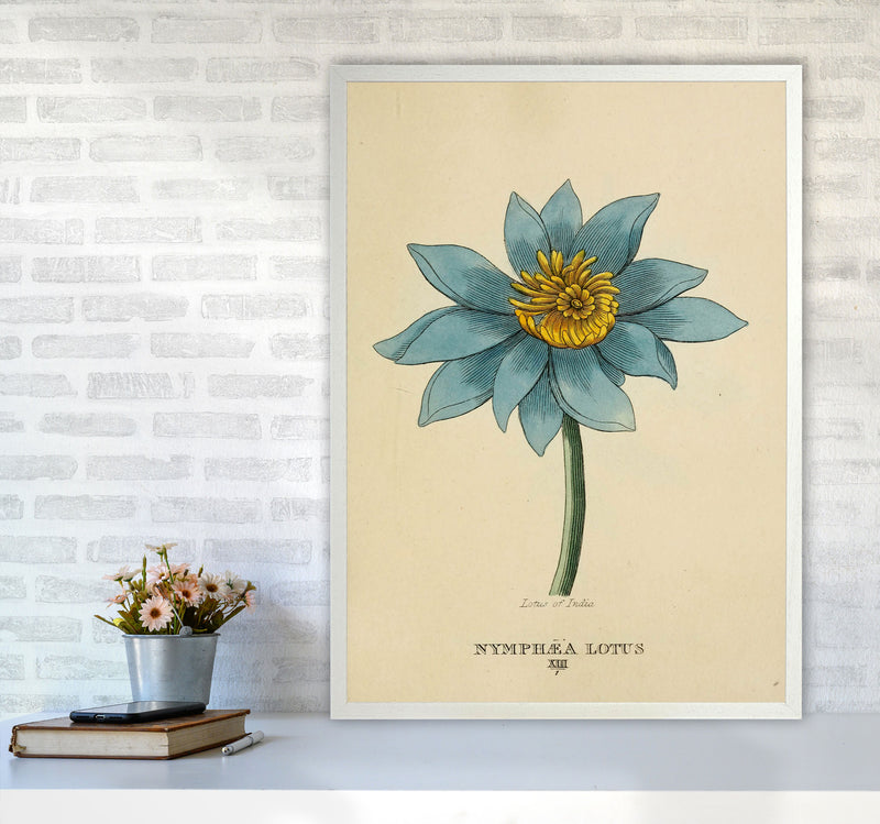 Vintage Lotus Flower Art Print by Jason Stanley A1 Oak Frame