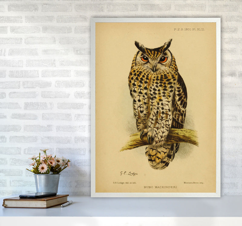 Vintage Owl Copy Art Print by Jason Stanley A1 Oak Frame