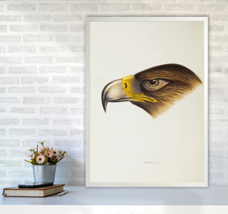 Vintage Eagle Face Art Print by Jason Stanley A1 Oak Frame