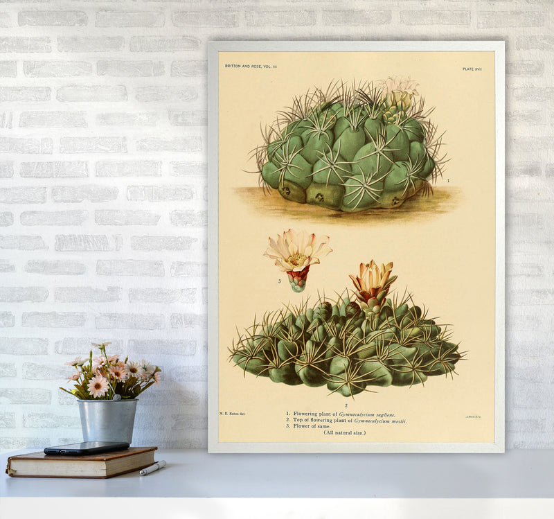 Cactus Series 12 Art Print by Jason Stanley A1 Oak Frame