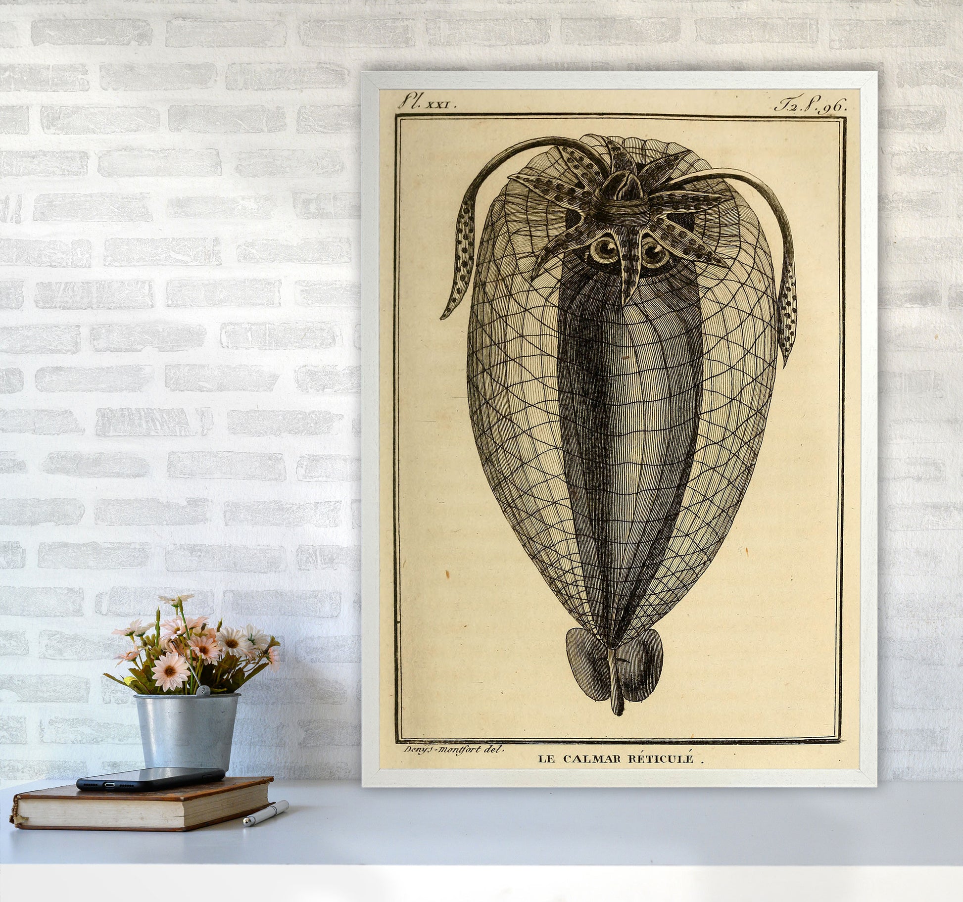 Vintage Squid 4 Art Print by Jason Stanley A1 Oak Frame