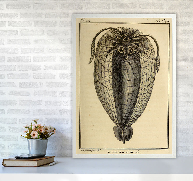Vintage Squid 4 Art Print by Jason Stanley A1 Oak Frame