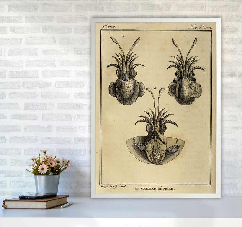 Vintage Squid 3 Art Print by Jason Stanley A1 Oak Frame