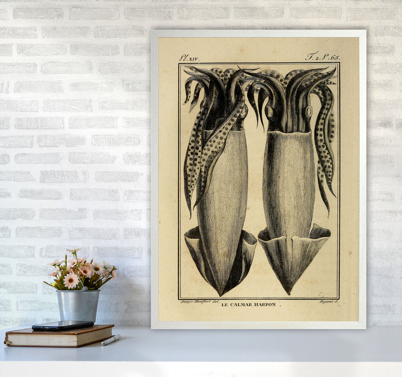 Vintage Squid 5 Art Print by Jason Stanley A1 Oak Frame