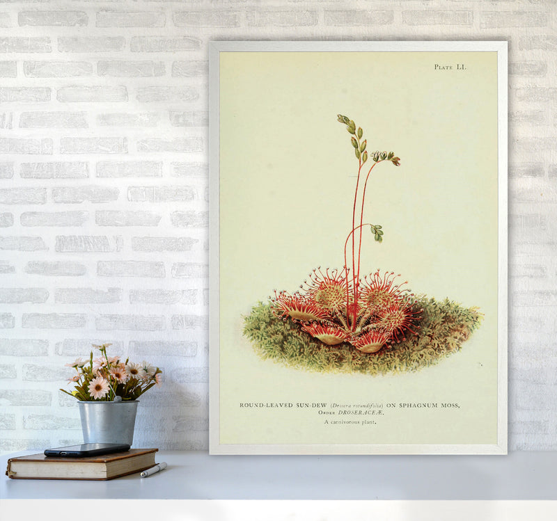 Venus Fly Trap Art Print by Jason Stanley A1 Oak Frame