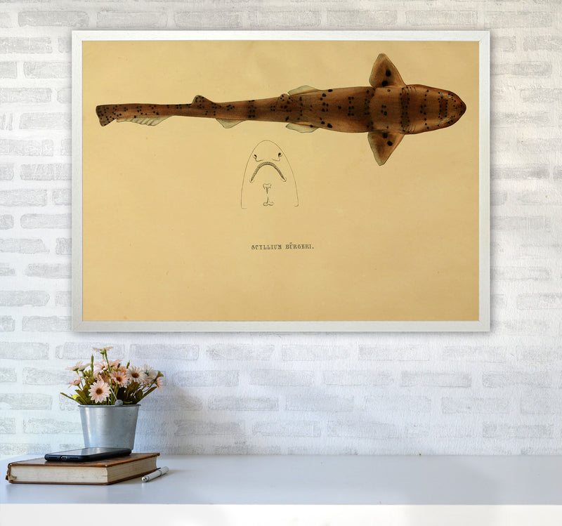 Shark Series 2 Art Print by Jason Stanley A1 Oak Frame