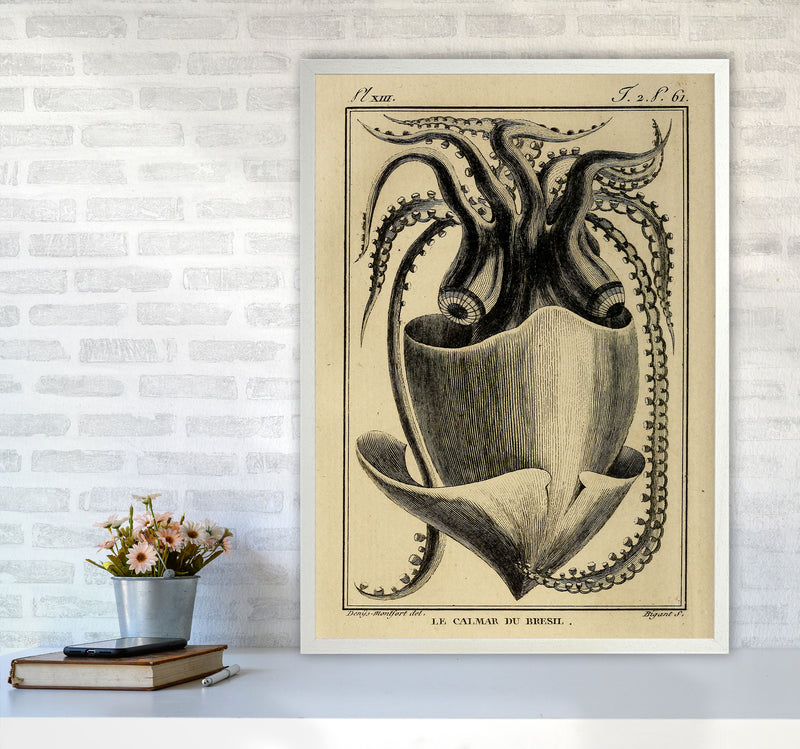 Vintage Squid Art Print by Jason Stanley A1 Oak Frame