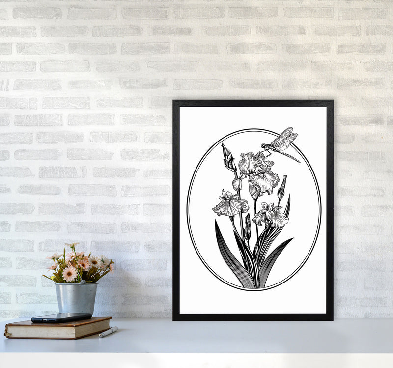 Vintage Beautiful Flower Art Print by Jason Stanley A2 White Frame