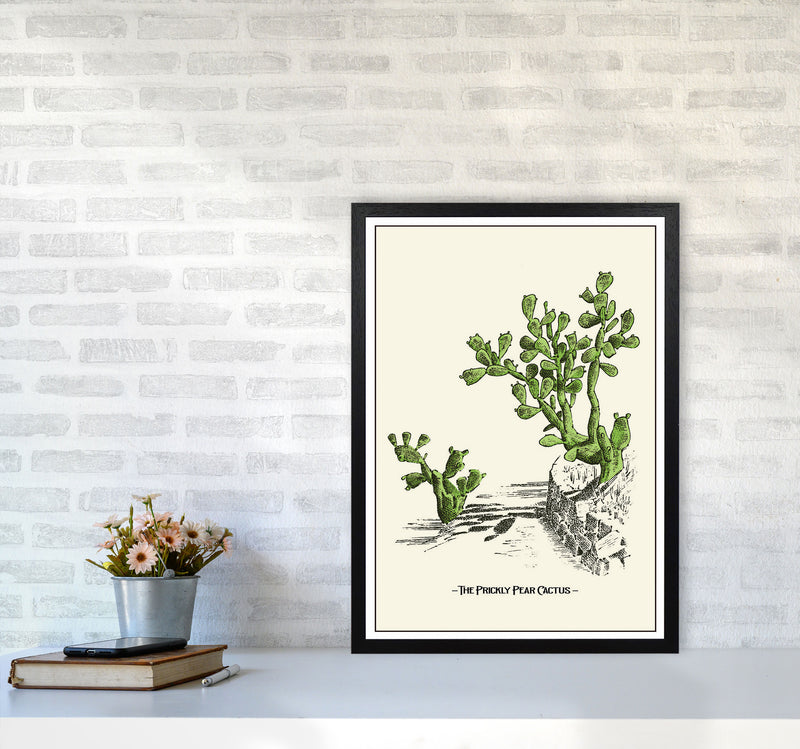 The Prickly Pear Cactus Art Print by Jason Stanley A2 White Frame