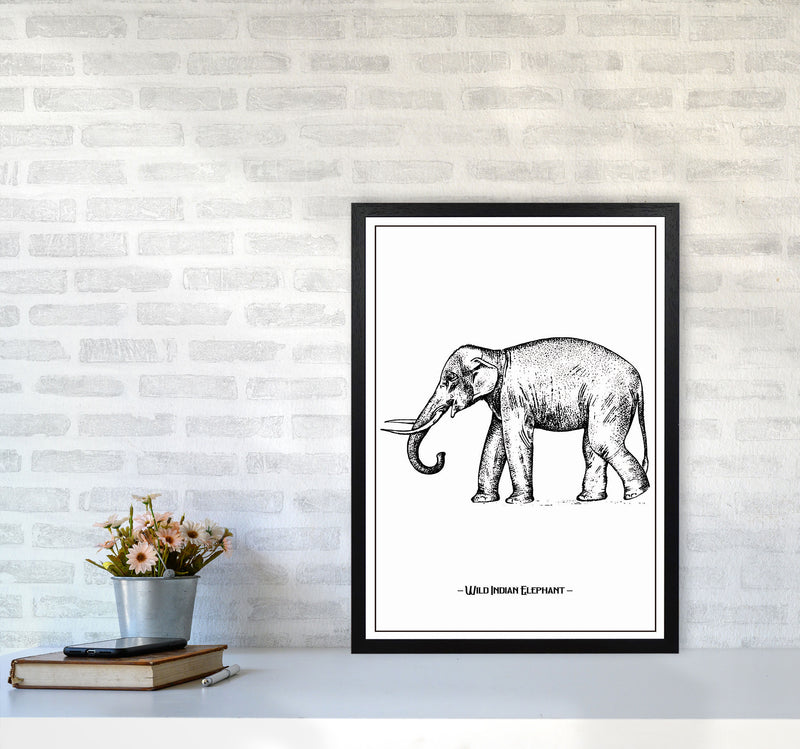 Wild Indian Elephant Art Print by Jason Stanley A2 White Frame