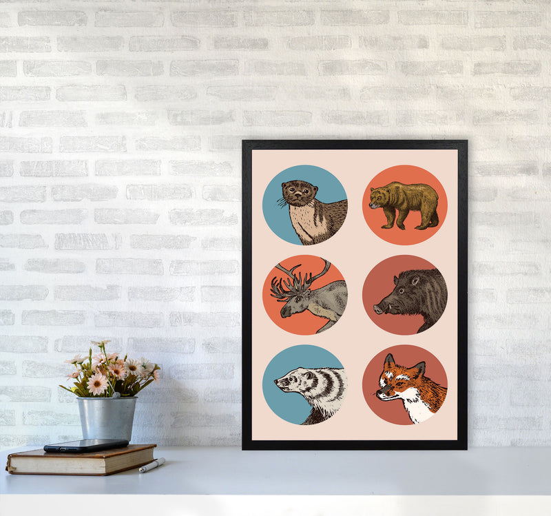 Animal Circles II Art Print by Jason Stanley A2 White Frame