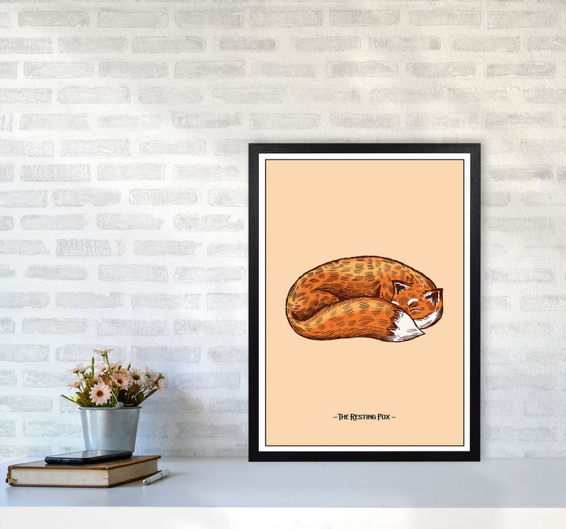 The Resting Fox Art Print by Jason Stanley A2 White Frame