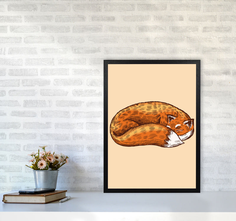 The Sleeping Fox Art Print by Jason Stanley A2 White Frame