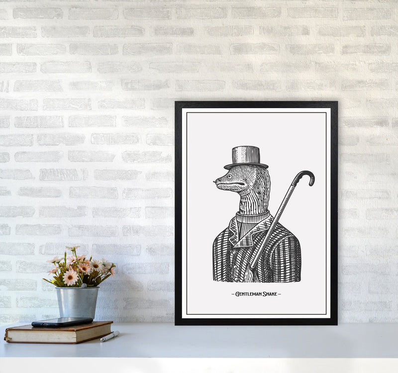 Gentlemen Snake Art Print by Jason Stanley A2 White Frame