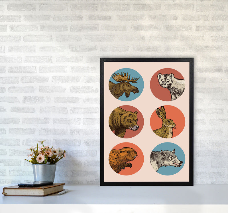 Animal Circles Art Print by Jason Stanley A2 White Frame