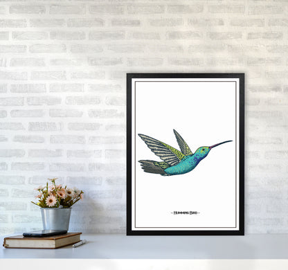 Humming Bird Art Print by Jason Stanley A2 White Frame