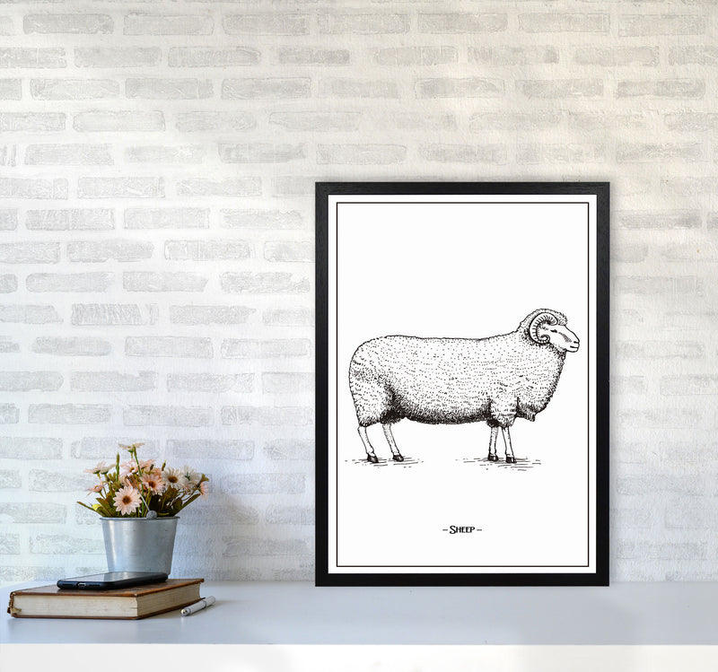 Sheep Art Print by Jason Stanley A2 White Frame
