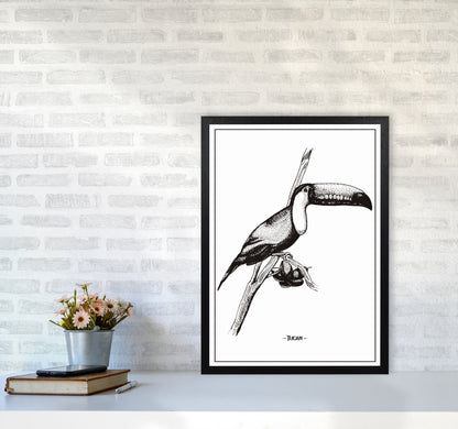Tucan Art Print by Jason Stanley A2 White Frame