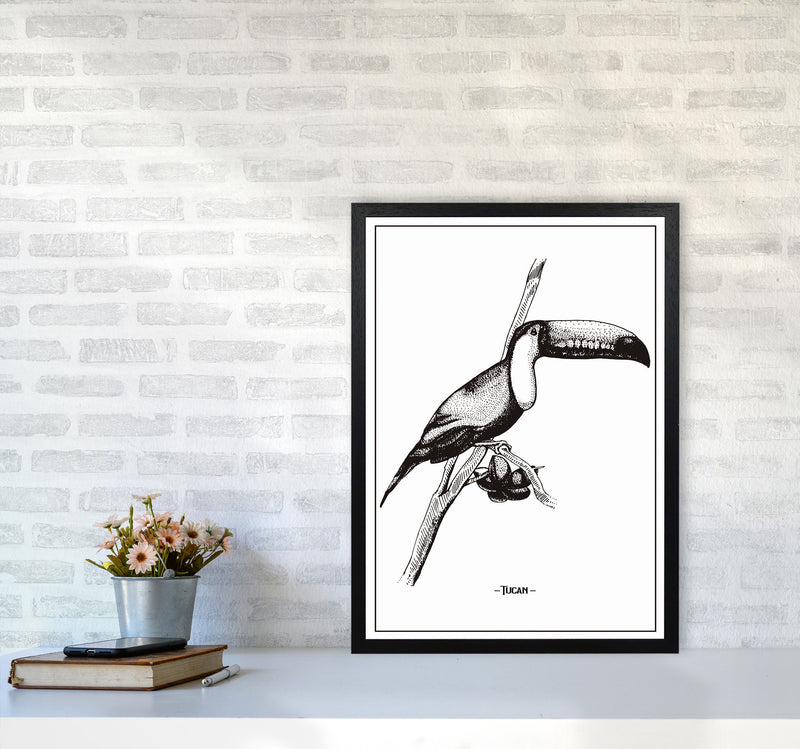 Tucan Art Print by Jason Stanley A2 White Frame