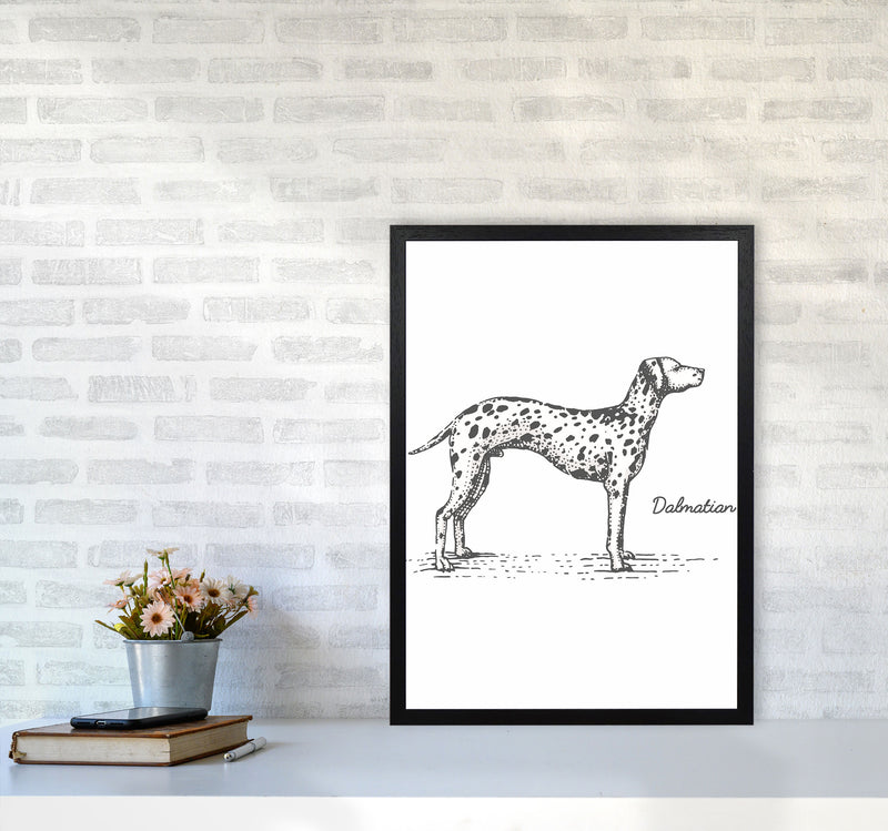 Dalmation Art Print by Jason Stanley A2 White Frame