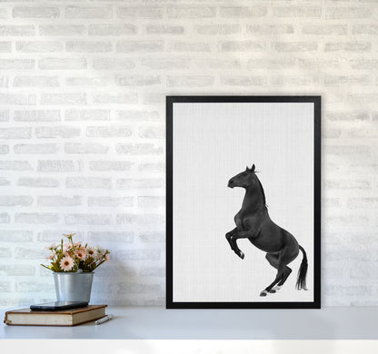 The Dark Horse Rides At Night #2 Art Print by Jason Stanley A2 White Frame