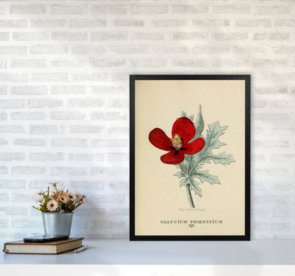 Vintage Flower Series 2 Art Print by Jason Stanley A2 White Frame